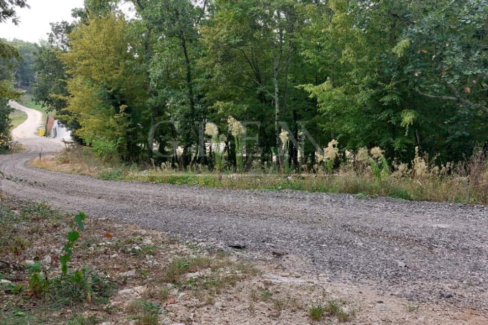 Gra Evinsko Zemlji Te Okolica Vi Inade Sa Otvorenim Pogledom M