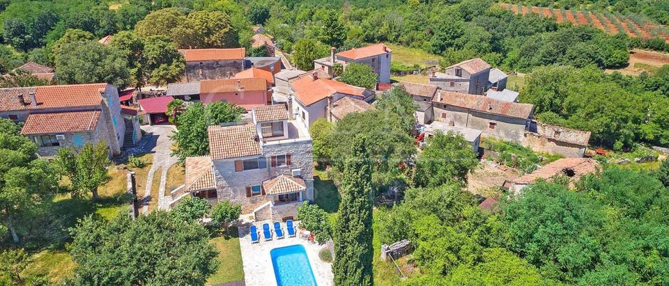 Renovated stone house with poo